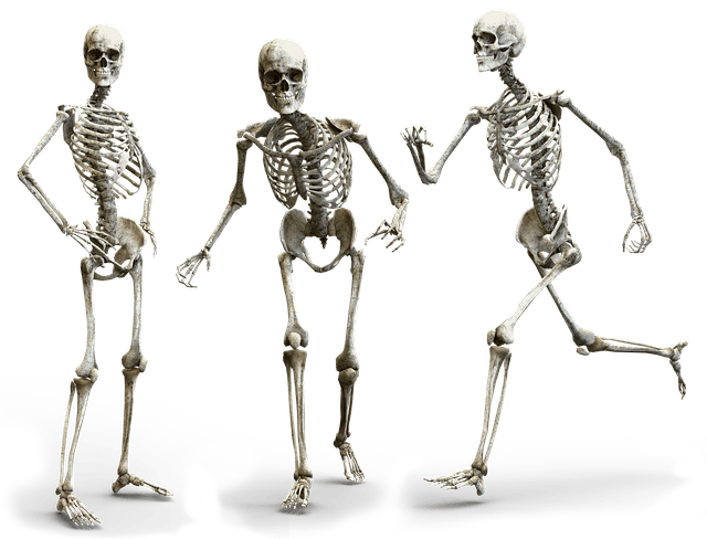 A picture of a walking skeleton. Design-Level Event Storming is the perfect workshop for agreeing on the scope of a walking skeleton